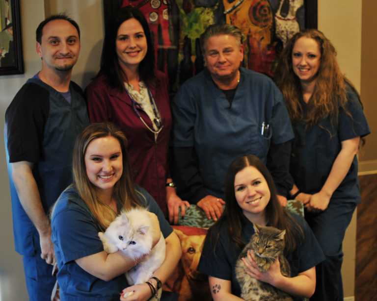 to New Egypt veterinary care!